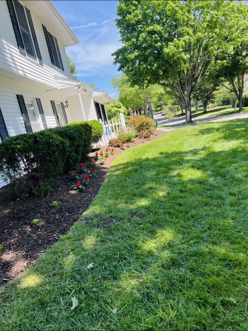 sod installation